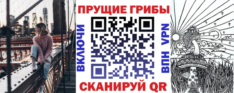 Псилоцибиновые грибы Psilocybe  Свирск 